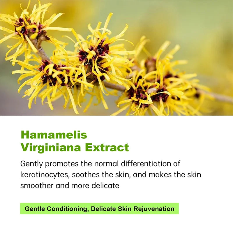 AUQUEST FACE CLEANSER